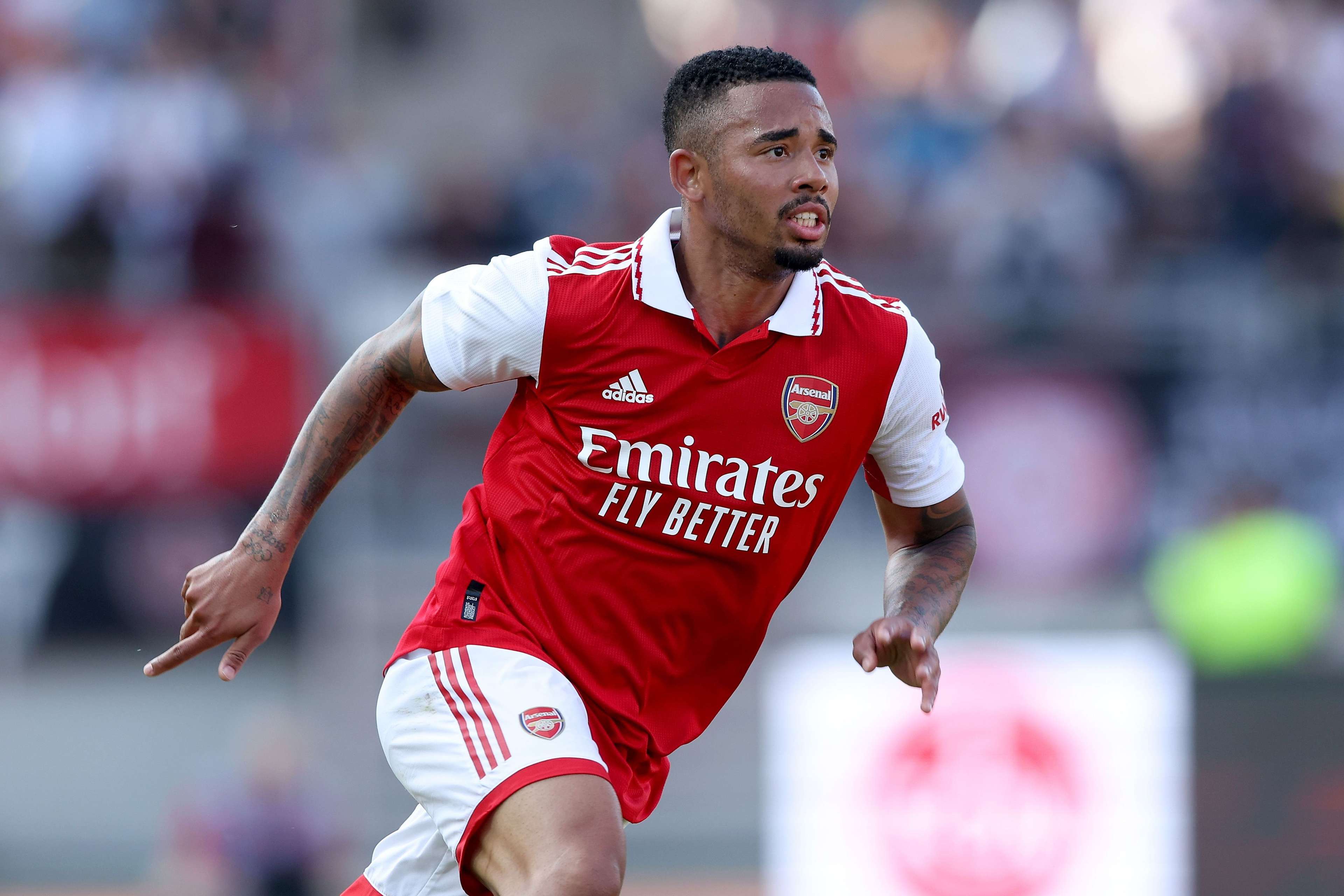 日尼奥蒂亚 日尼奥蒂亚