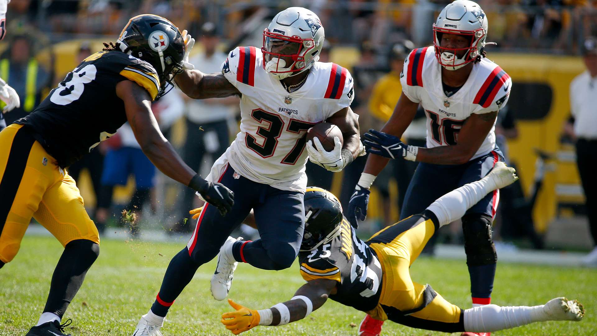 观看电视直 观看电视直